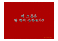 현대사회의 성폭력 실태와 해결방안-12