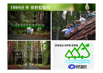 유학의 환경관을 통한 현대 환경문제의 해결방안 고찰-2