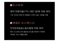 [신문학] 대안언론의 종류와 발전방향-나는꼼수다 사례 중심으로-20