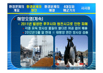 4대강, 제주 해군기지 건설과 환경문제 고찰-19