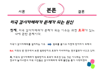 [사회학] 미국의 감시카메라 문제 사례 조사-6