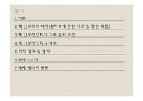 서울 핵 안보회의 성과 및 대체에너지의 필요성 고찰-3