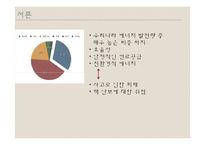 서울 핵 안보회의 성과 및 대체에너지의 필요성 고찰-4