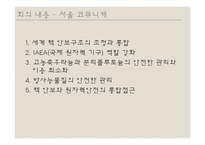 서울 핵 안보회의 성과 및 대체에너지의 필요성 고찰-12