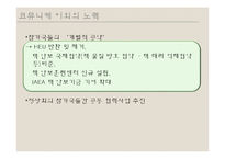 서울 핵 안보회의 성과 및 대체에너지의 필요성 고찰-14