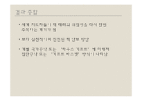 서울 핵 안보회의 성과 및 대체에너지의 필요성 고찰-19