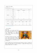 [관광론] 위락적 관광 자원 조사-강원랜드 중심으로-20