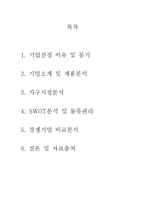 [경영학] IKEA의 SWOT분석 및 물류관리 시스템 조사-2