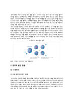 [국제무역] 우라늄의 효율성과 위험성 고찰-9
