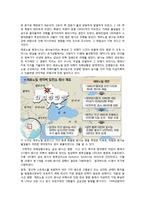 [국제무역] 우라늄의 효율성과 위험성 고찰-20
