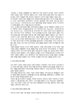 [관광학] 국내외 크루즈업 현황과 전망-13