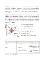 [경영학] 카쉐어링 시장 현황과 문제점 및 해결방안-Zipcar 사례 중심으로-4