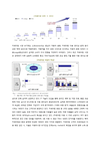 [경영학] 카쉐어링 시장 현황과 문제점 및 해결방안-Zipcar 사례 중심으로-6