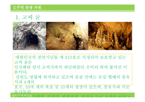 [관광론] 위락적 관광 자원 조사-강원랜드 중심으로-9