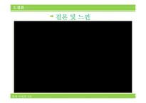 [관광론] 위락적 관광 자원 조사-강원랜드 중심으로-12
