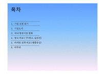 [경영학] 대한항공 vs 아시아나 마케팅 전략 비교 분석-2