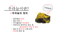 [국제무역] 우라늄의 효율성과 위험성 고찰-6