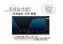 [국제무역] 우라늄의 효율성과 위험성 고찰-11
