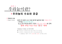 [국제무역] 우라늄의 효율성과 위험성 고찰-13