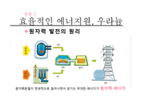 [국제무역] 우라늄의 효율성과 위험성 고찰-17