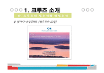 [관광학] 국내외 크루즈업 현황과 전망-11