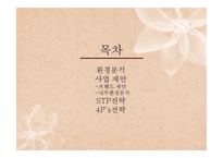 [경영학] 실버화장품 사업 제안 및 마케팅 전략-2