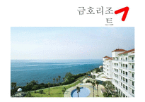 [관리회계] 관광기업-한화, 금호 리조트의 비율 분석-10