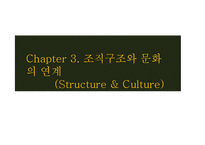 [경영학] 조직구조와 문화의 연계-20
