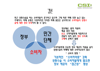 [경제학] 성형수술에 대한 소비자 피해 실태 조사-19