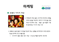 [마케팅] 라면시장에서의 `농심`, `삼양` 마케팅 전략-16