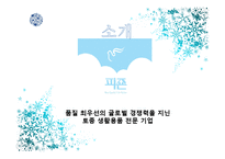 [경영학] 피죤의 swot, stp분석 및 마케팅 전략-4