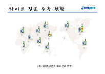 [국제경영] 하이트진로 해외직접투자 사례 연구-8