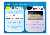 [마케팅] 다양성 추구 행동과 기업의 대응 전략-16