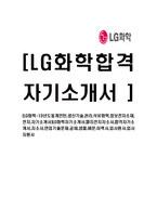 [LG화학-13년도동계인턴,생산기술,관리,석유화학,정보전자소재,전지,자기소개서]LG화학자기소개서,엘지전지자소서,합격자기소개서,자소서,면접기출문제,공채,샘플,예문,이력서,입사원서,입사지원서-1