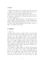 싸이월드 위기극복위한 마케팅전략 제안 보고서-2