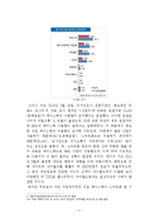 싸이월드 위기극복위한 마케팅전략 제안 보고서-4