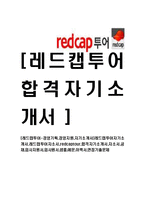 [레드캡투어-경영기획,경영지원,자기소개서]레드캡투어자기소개서,레드캡투어자소서,redcaptour,합격자기소개서,자소서,공채,입사지원서,입사원서,샘플,예문,이력서,면접기출문제-1