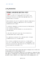 Hotsix6 핫식스 마케팅 성공전략분석(마케팅믹스 4P전략)과 앞으로의 전략-8
