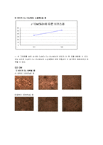 신소재공학실험 결과레포트. 세세한 결과분석과 오차분석 , 실험내용 등이 포함되어있습니다.-14
