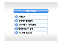 YG엔터테인먼트 성공요인과 마케팅전략분석-2