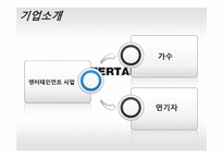 YG엔터테인먼트 성공요인과 마케팅전략분석-4