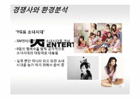YG엔터테인먼트 성공요인과 마케팅전략분석-11