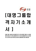 [대명그룹-대졸신입사원합격자기소개서]대명그룹자소서,대명레저산업자기소개서,대명합격자기소개서,대명합격자소서,대명자소서,이력서,입사지원서,입사원서,샘플,예문,면접기출문제-1