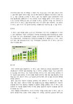 MISSHA 미샤 브랜드분석및 마케팅 STP,4P전략 분석-9