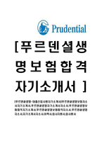 [푸르덴셜생명-대졸신입사원자기소개서]-1