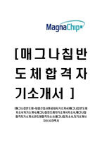 [매그나칩반도체-대졸신입사원공채자기소개서]-1