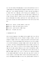 [글로벌마케팅]국제광고 전략과 사례-3