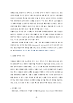 [글로벌마케팅]국제제품전략 방안과 사례-8