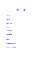 [현대BS&C-인턴신입사원자기소개서]현대BS&C자소서자기소개서,현대비에스엔씨자기소개서자소서,현대BS&C합격자기소개서,현대비에스엔씨합격자소서,현대비에스엔씨자소서,현대자기소개서자소서,이력서,입사지원서,입사원서-2