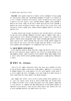인터넷 실명제 찬성론에 대한 비판 및 반대론의 근거-9